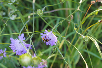
a beautiful flower bouquet with many different flowers including yellow flowers.