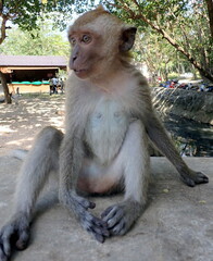 Thailand, Ao Nang.