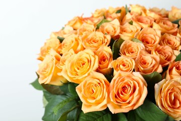 Beautiful bouquet of fresh roses on white background 