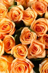 Beautiful bouquet of fresh roses, close up
