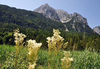 Wanderung zum Lautersee