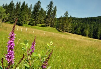 Wanderung zum Lautersee