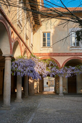 Wonderful view in the Pavia Center