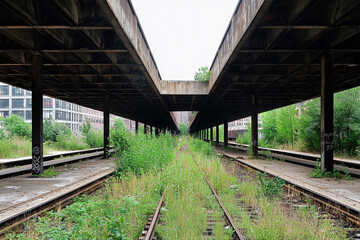 Obraz premium Overgrown tracks in abandoned industry