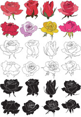 Rose Vector Premium Bundle Colour Black&White and Outline Illustration