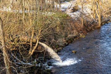 Obraz premium Water Flowing from a Pipe into a Fast-Moving River in Winter