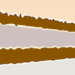 Naklejka premium Torn paper in three versions, different colors and textures, separate from the background