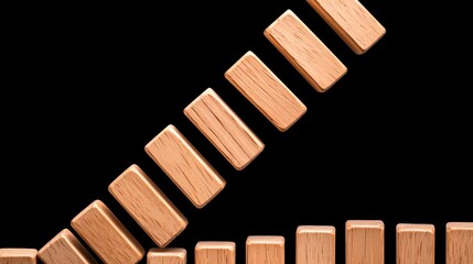 Echoes of Success: Building a Disciplined Life Plan with the Domino Effect