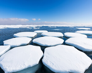 Glacier lagoon under blue sky. Floating icebergs in serene Arctic lagoon under clear blue sky