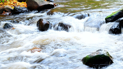 A rushing stream cascades over rocks in an autumn forest. Serene scene perfect for nature blogs, educational materials, and landscape art