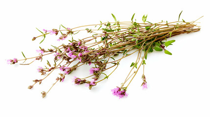 Blooming thyme sprigs lie together on white, aromatic herbs used in flavoring food and natural remedies are visible in the scene