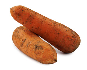 Dirty, unwashed carrot with traces of soil on the surface. Carrot isolated on white background. Two carrots crossed on white background.