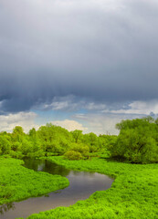 Naklejka premium River runs through a lush green field with trees in the background