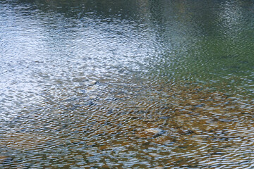 穏やかな川の水