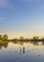 Calm lake with a few trees in the background