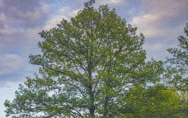 Large tree with green leaves is the main focus of the image