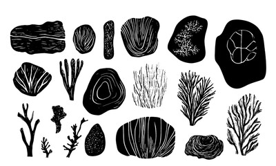 Linocut style organic shapes, nature underwater shapes, rocks, stone, plants, leaves, vector.
