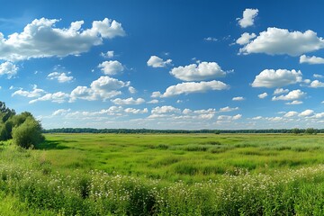 Obraz premium Lush Meadow Expanse Under a Cloud-Dappled Sky