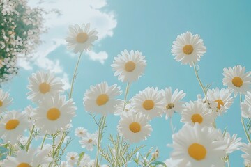 Obraz premium Delicate Daisies against a Pastel Sky