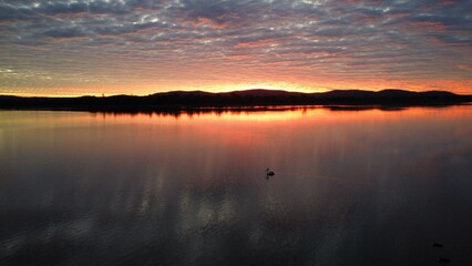 Pelican at Dusk Over Reflective Lake