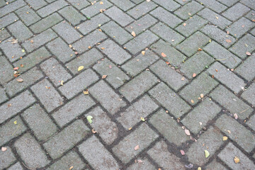A close-up view of an old brick path textured with geometric patterns and some fallen leaves,...