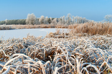  Piękno śnieznej i mroznej zimy w Dolinie Narwi i Biebrzy - Podlasie, Polska © podlaski49