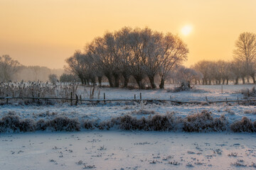  Piękno śnieznej i mroznej zimy w Dolinie Narwi i Biebrzy - Podlasie, Polska