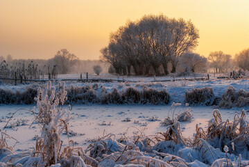  Piękno śnieznej i mroznej zimy w Dolinie Narwi i Biebrzy - Podlasie, Polska