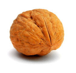 Whole Walnut on White Background