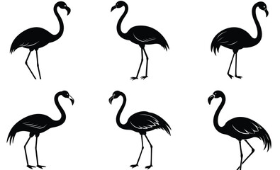 Obraz premium Flamingo bird silhouette vector set illustration