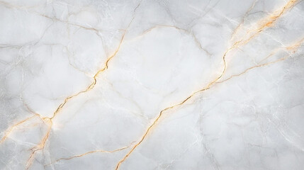 Fototapeta premium White Marble with Gold Veins Texture
