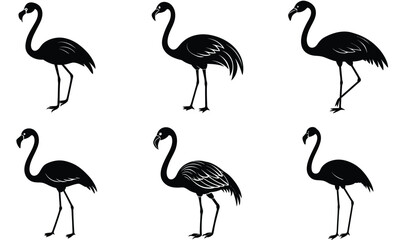 Obraz premium Flamingo bird silhouette vector set illustration