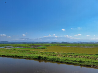 wetland view