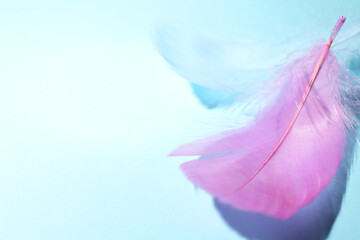 Fluffy feathers on light blue background, closeup. Space for text