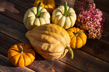 Harvest Celebration With Pumpkins Showcasing Autumn Colors on a Rustic Wooden Background Perfect...