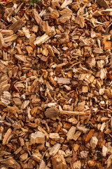 Exploring the Richness of Organic Gardening With a Vibrant Bed of Wood Chips Enhancing Soil Nutrients and Fostering Plant Growth in a Lush Garden Environment