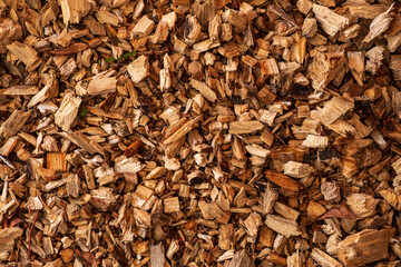 Transforming Soil Health With Organic Gardening Methods Using Wood Chips as a Natural Mulch in a Sustainable Backyard Ecosystem