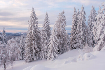 Winter snow-covered trees in the Ural mountains