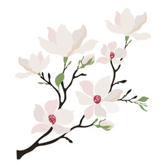 White Magnolia Flowers in Flat Style. Elegant Blooming Branches. Isolatedb Vector Illustration.