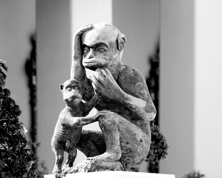 peque&ntilde;o simio con su madre