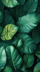 Lush Green Tropical Leaves.