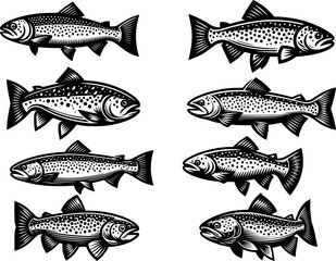 trout fish set for backgrounds