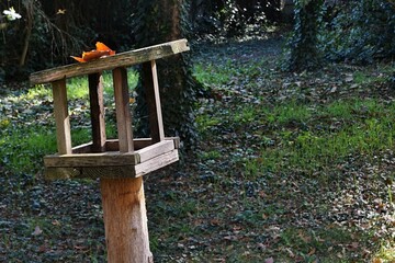 Abandoned wooden birds feeder in park with autumn leaf on the roof, sunlit by autumn afternoon sunshine.