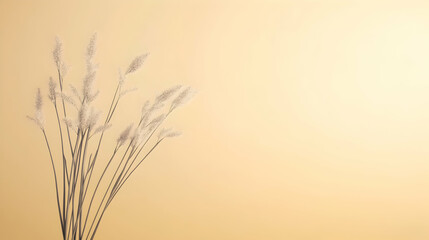 Obraz premium Minimalist home decor with pampas grass against a cream wall, creating soft, natural light ideal for lifestyle blog backgrounds