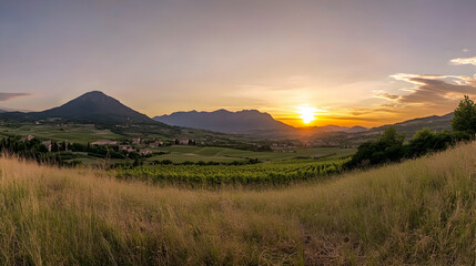 Peaceful scenic view of rolling hills with vineyards and golden sunset in valley, perfect for travel, nature, or agricultural concepts
