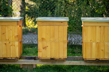 Beehives beautifully placed in a calming and tranquil garden setting on a bright sunny day