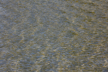 The Glittering Water Surface features Gentle Reflections in a serene and tranquil setting