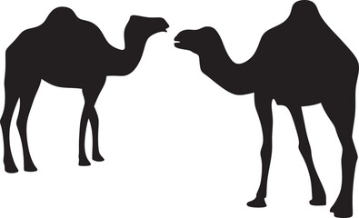 Silhouette of Camel