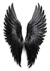 Obraz premium 黒い翼。白背景。（black wings on white background.） 