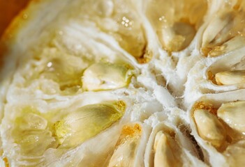 Freshly sliced yuzu lemon showcases a burst of citrus aroma and delicate seeds, reflecting sunlight and enticing the senses with its unique texture and vibrant color. Perfect for culinary inspiration